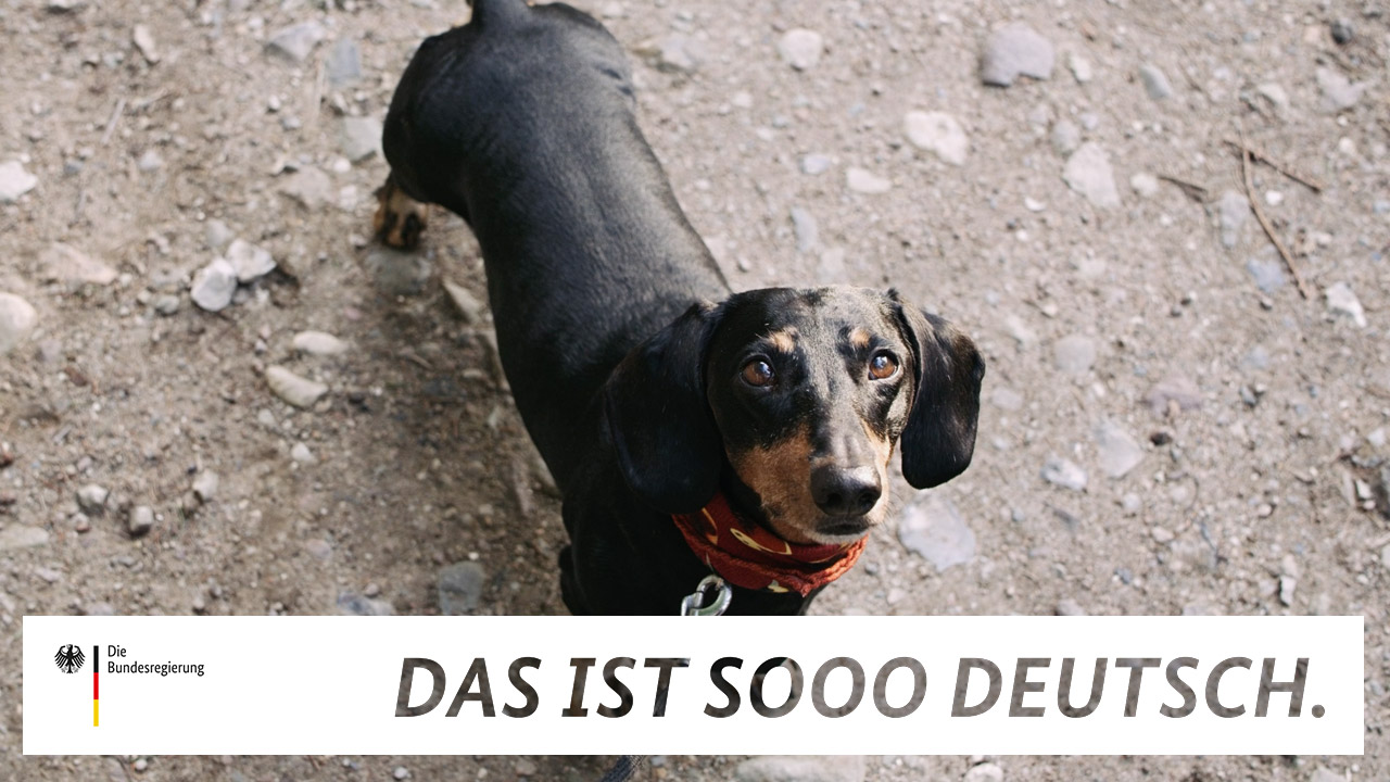 Ein Dackel in einem Video der Reihe "Das ist sooo deutsch."
