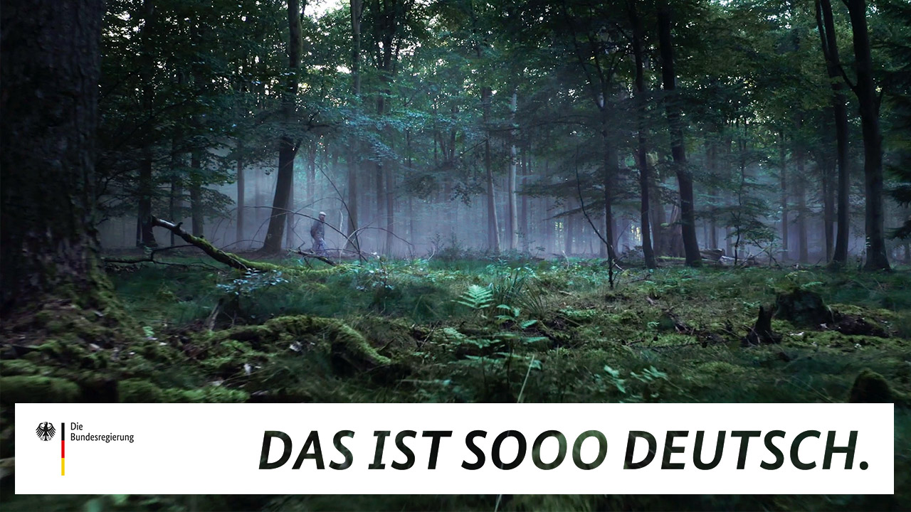 Ein Wald im Nebel in einem Video der Reihe "Das ist sooo deutsch."
